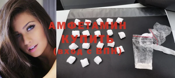 прущие грибы Осинники