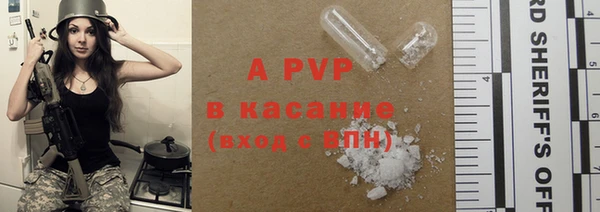 прущие грибы Осинники