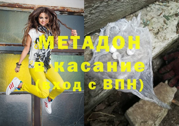 прущие грибы Осинники