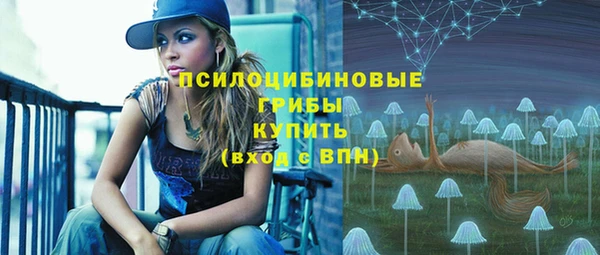 mdma Осташков