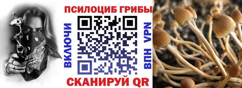 Галлюциногенные грибы Psilocybe  кракен вход  Северо-Курильск 